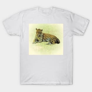 Jaguar T-Shirt